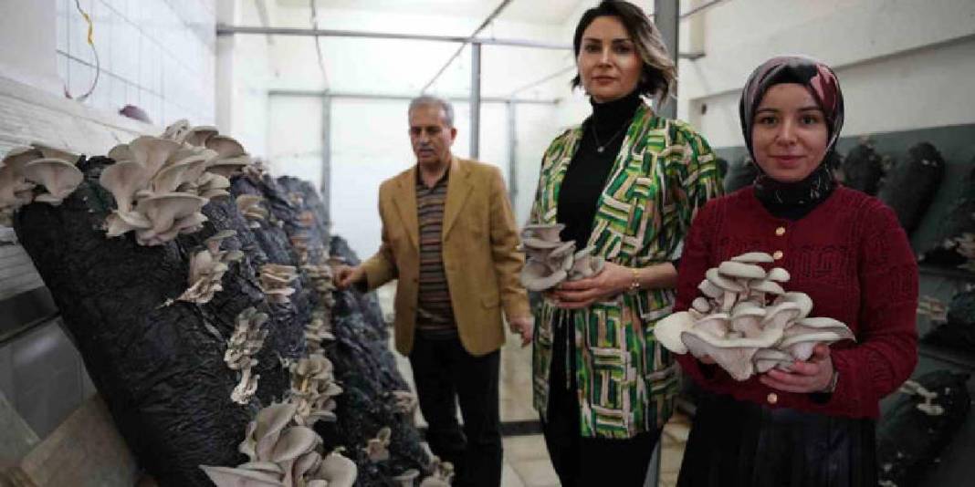 Aynı çatı altında hem eğitim hem üretim! 8 yıldır süren sistem: 60 metrekarede öğrenciler tecrübe kazanıyor 3